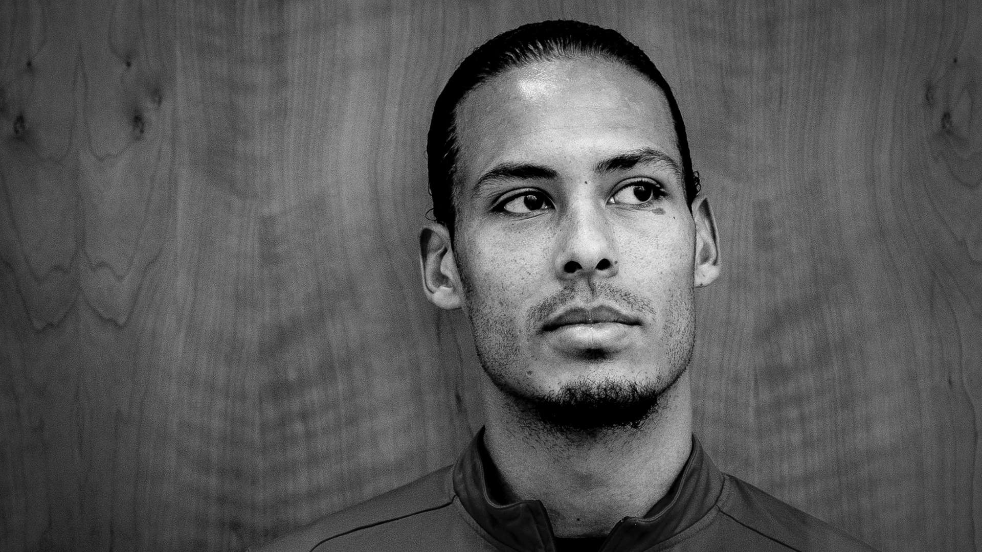 在高水平的 在高水平的